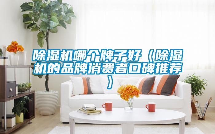 麻豆视频黄网站哪个牌子好（麻豆视频黄网站的品牌消费者口碑推荐）