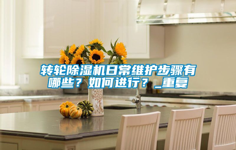 转轮麻豆视频黄网站日常维护步骤有哪些？如何进行？_重复
