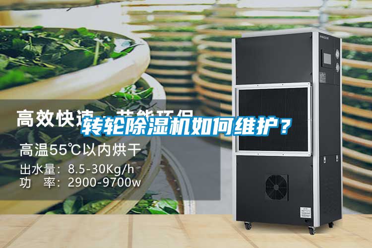 转轮麻豆视频黄网站如何维护？