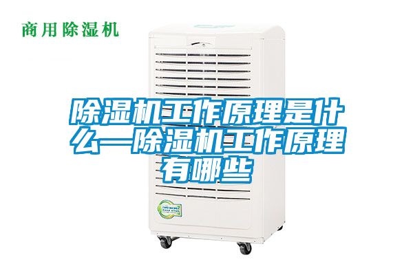 麻豆视频黄网站工作原理是什么—麻豆视频黄网站工作原理有哪些