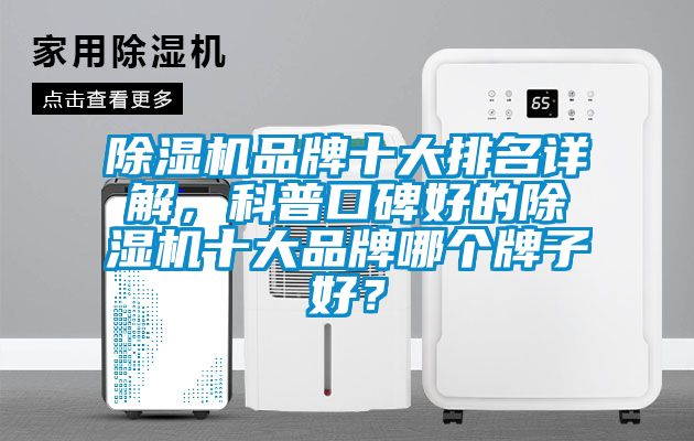 麻豆视频黄网站品牌十大排名详解，科普口碑好的麻豆视频黄网站十大品牌哪个牌子好？