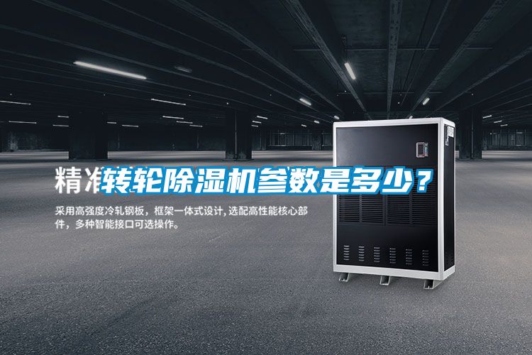 转轮麻豆视频黄网站参数是多少？