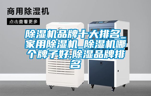 麻豆视频黄网站品牌十大排名_家用麻豆视频黄网站_麻豆视频黄网站哪个牌子好,除湿品牌排名