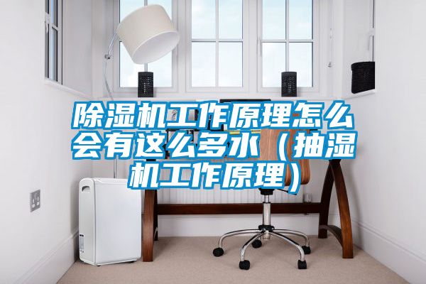 麻豆视频黄网站工作原理怎么会有这么多水（抽湿机工作原理）