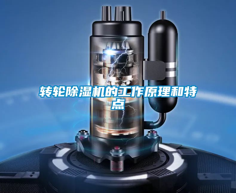 转轮麻豆视频黄网站的工作原理和特点