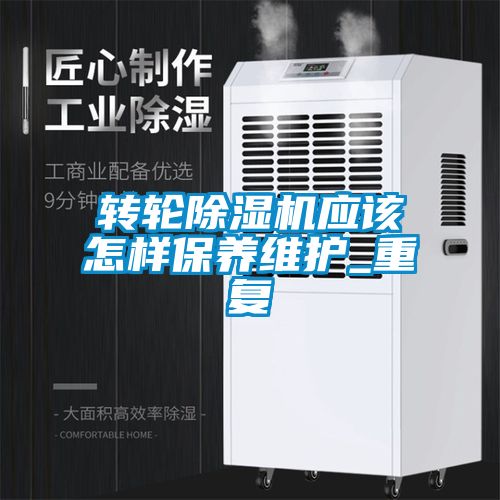 转轮麻豆视频黄网站应该怎样保养维护_重复