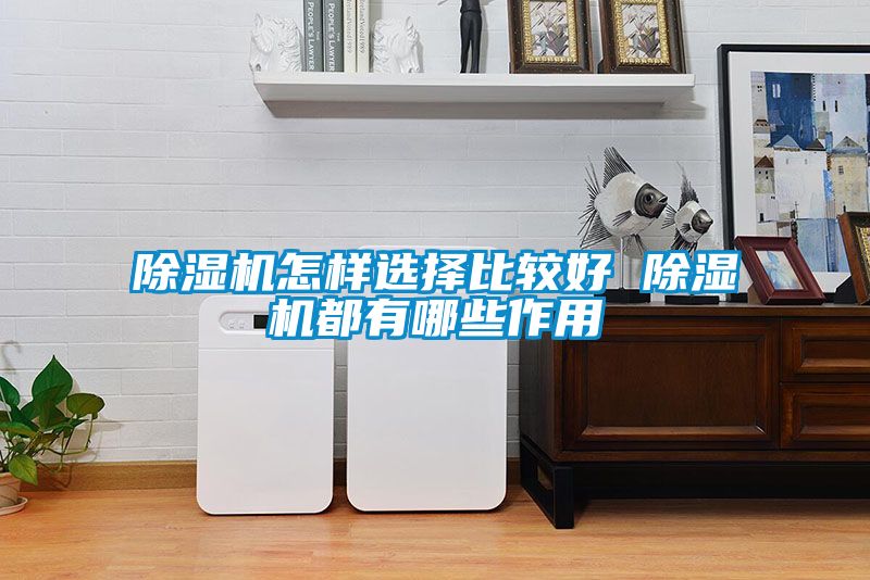 麻豆视频黄网站怎样选择比较好 麻豆视频黄网站都有哪些作用