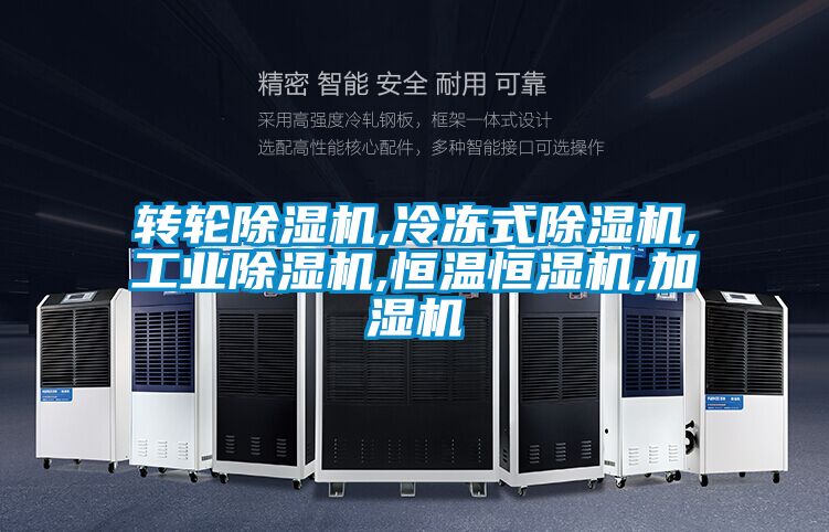 转轮麻豆视频黄网站,冷冻式麻豆视频黄网站,工业麻豆视频黄网站,恒温恒湿机,加湿机