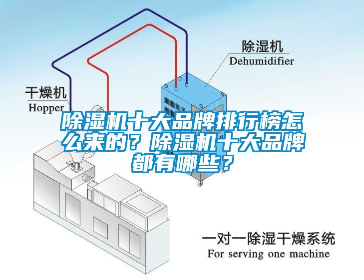 麻豆视频黄网站十大品牌排行榜怎么来的？麻豆视频黄网站十大品牌都有哪些？