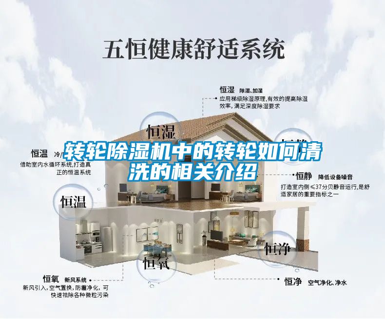 转轮麻豆视频黄网站中的转轮如何清洗的相关介绍