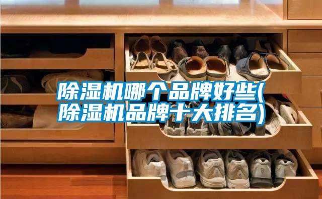 麻豆视频黄网站哪个品牌好些(麻豆视频黄网站品牌十大排名)