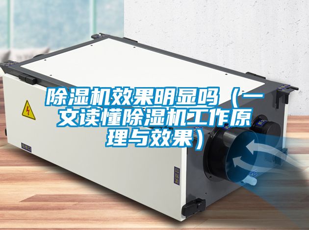 麻豆视频黄网站效果明显吗（一文读懂麻豆视频黄网站工作原理与效果）