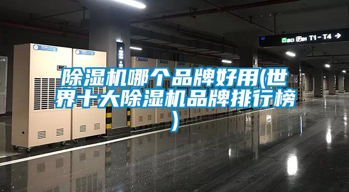 麻豆视频黄网站哪个品牌好用(世界十大麻豆视频黄网站品牌排行榜)