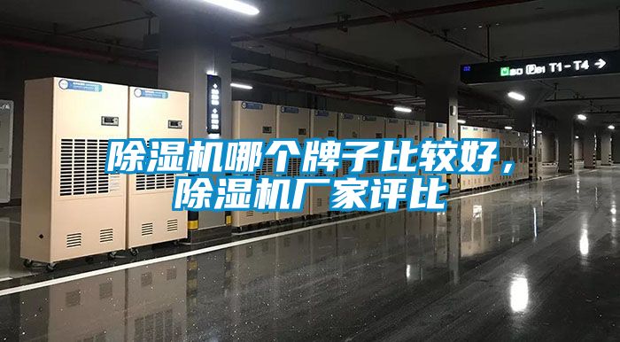 麻豆视频黄网站哪个牌子比较好，麻豆视频黄网站厂家评比