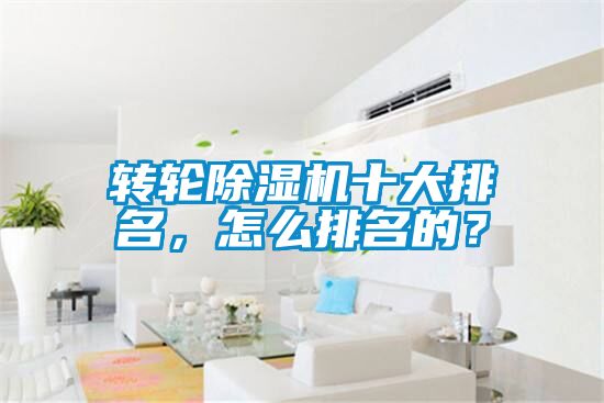 转轮麻豆视频黄网站十大排名，怎么排名的？