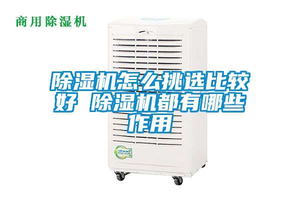 麻豆视频黄网站怎么挑选比较好 麻豆视频黄网站都有哪些作用