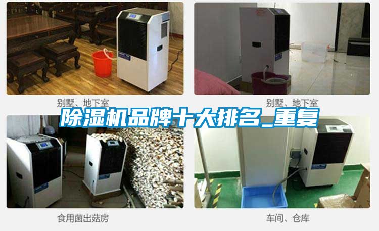 麻豆视频黄网站品牌十大排名_重复