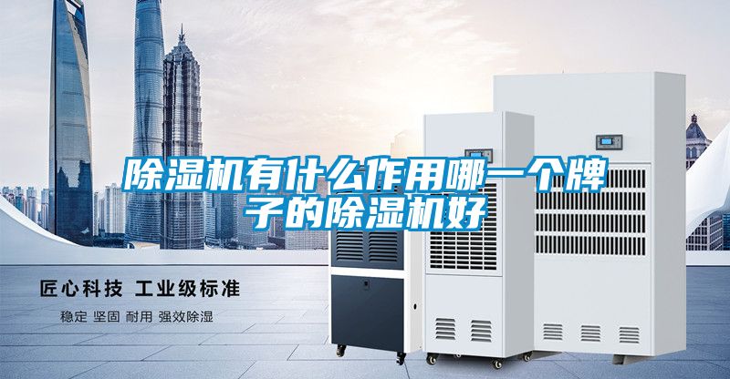 麻豆视频黄网站有什么作用哪一个牌子的麻豆视频黄网站好