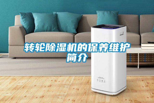 转轮麻豆视频黄网站的保养维护简介