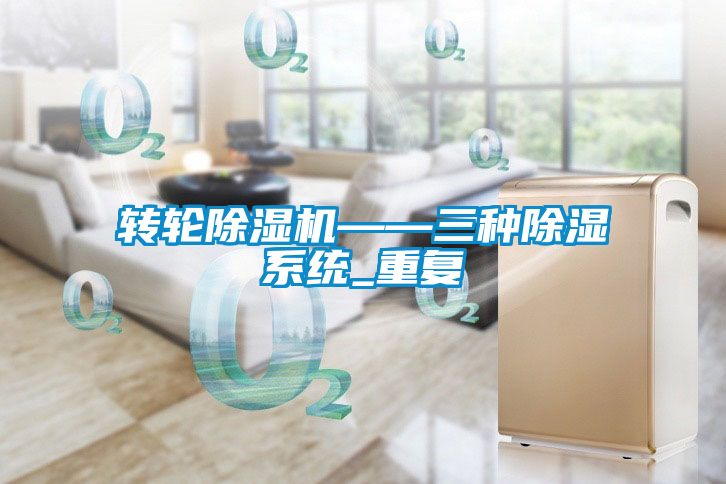 转轮麻豆视频黄网站——三种除湿系统_重复