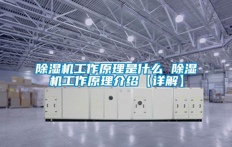 麻豆视频黄网站工作原理是什么 麻豆视频黄网站工作原理介绍【详解】