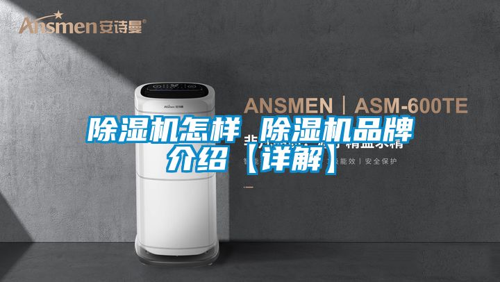 麻豆视频黄网站怎样 麻豆视频黄网站品牌介绍【详解】