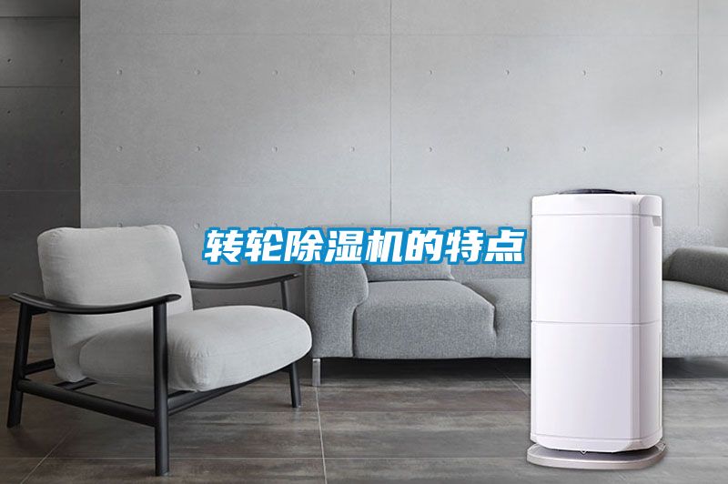 转轮麻豆视频黄网站的特点