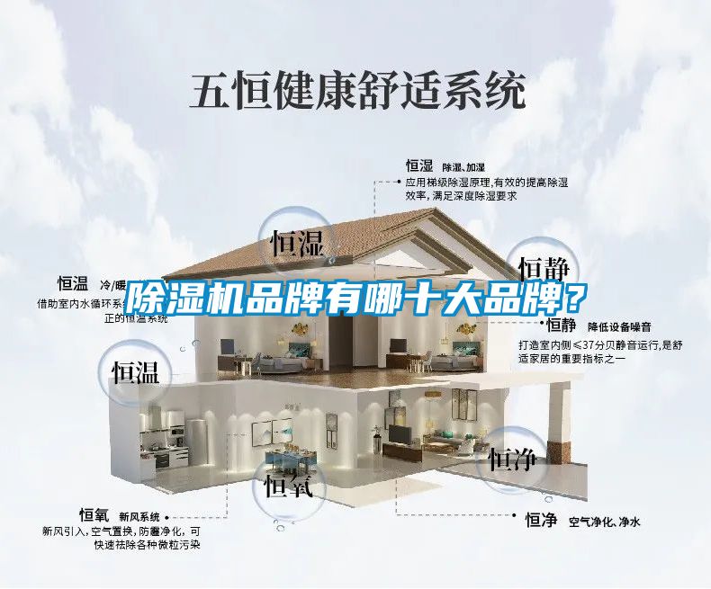 麻豆视频黄网站品牌有哪十大品牌？