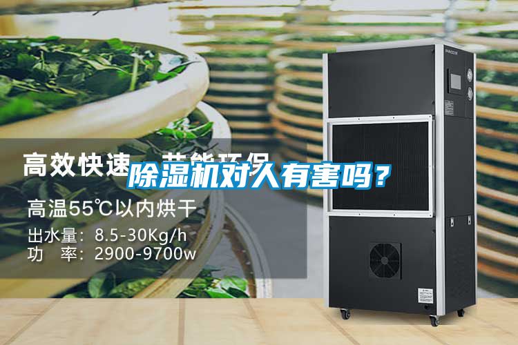 麻豆视频黄网站对人有害吗？