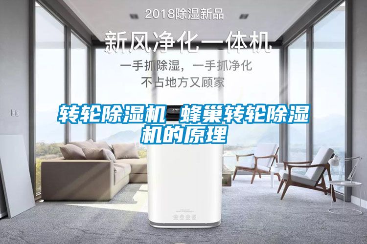 转轮麻豆视频黄网站 蜂巢转轮麻豆视频黄网站的原理