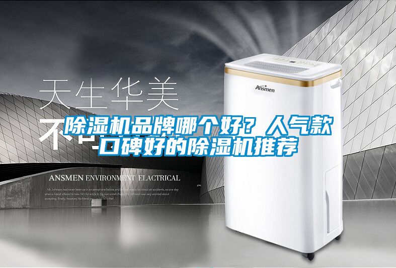 麻豆视频黄网站品牌哪个好？人气款口碑好的麻豆视频黄网站推荐