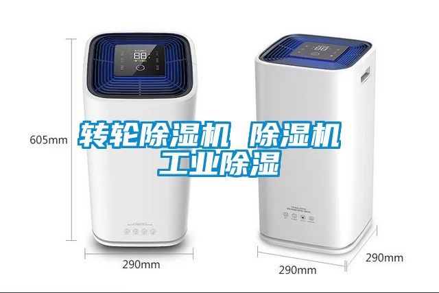 转轮麻豆视频黄网站 麻豆视频黄网站 工业除湿
