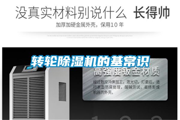 转轮麻豆视频黄网站的基常识