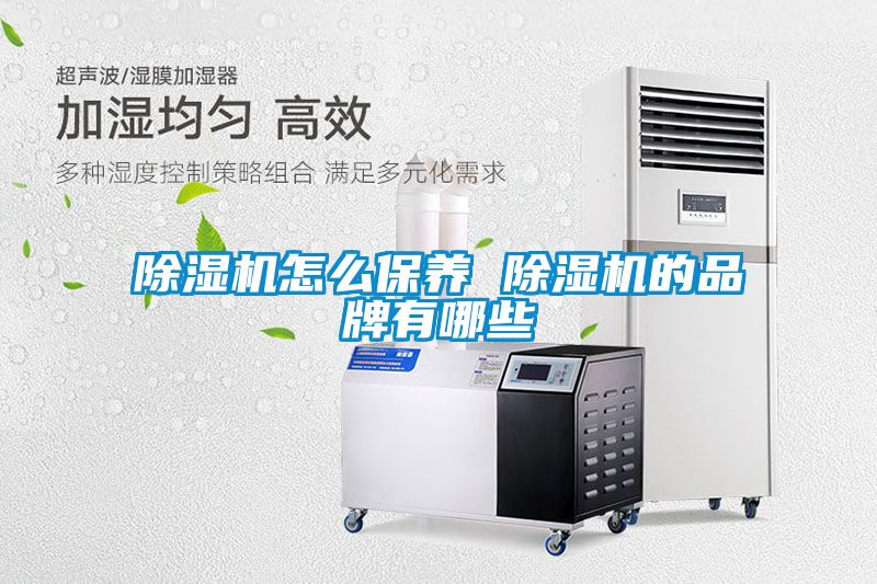 麻豆视频黄网站怎么保养 麻豆视频黄网站的品牌有哪些