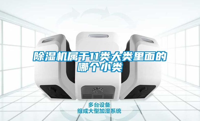 麻豆视频黄网站属于11类大类里面的哪个小类