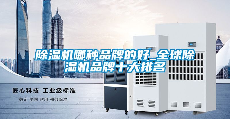 麻豆视频黄网站哪种品牌的好_全球麻豆视频黄网站品牌十大排名