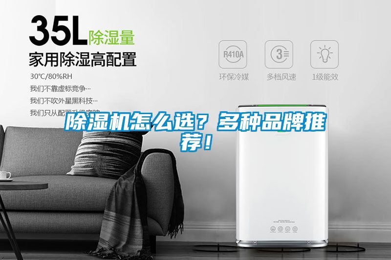 麻豆视频黄网站怎么选？多种品牌推荐！