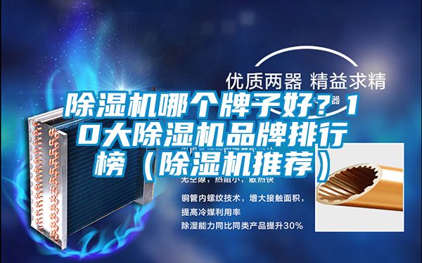 麻豆视频黄网站哪个牌子好？10大麻豆视频黄网站品牌排行榜（麻豆视频黄网站推荐）