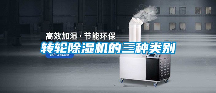 转轮麻豆视频黄网站的三种类别