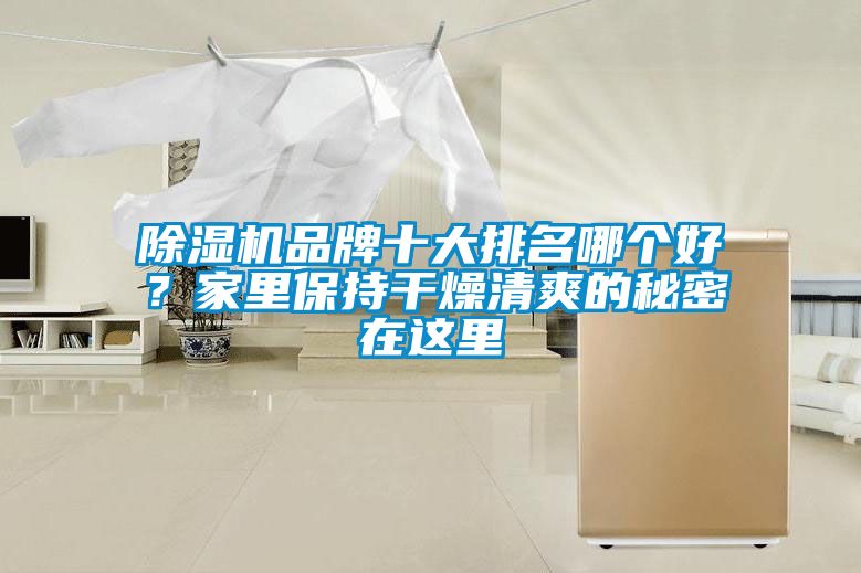 麻豆视频黄网站品牌十大排名哪个好？家里保持干燥清爽的秘密在这里