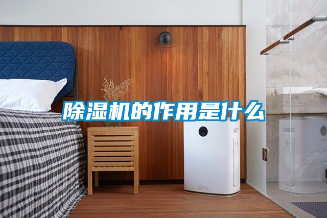 麻豆视频黄网站的作用是什么