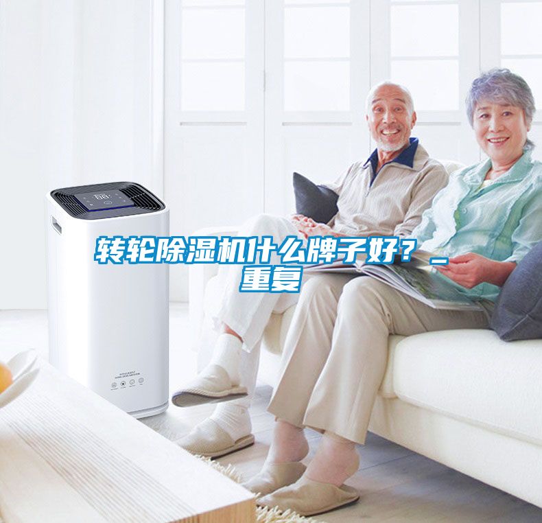 转轮麻豆视频黄网站什么牌子好？_重复