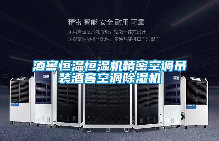 酒窖恒温恒湿机精密空调吊装酒窖空调麻豆视频黄网站