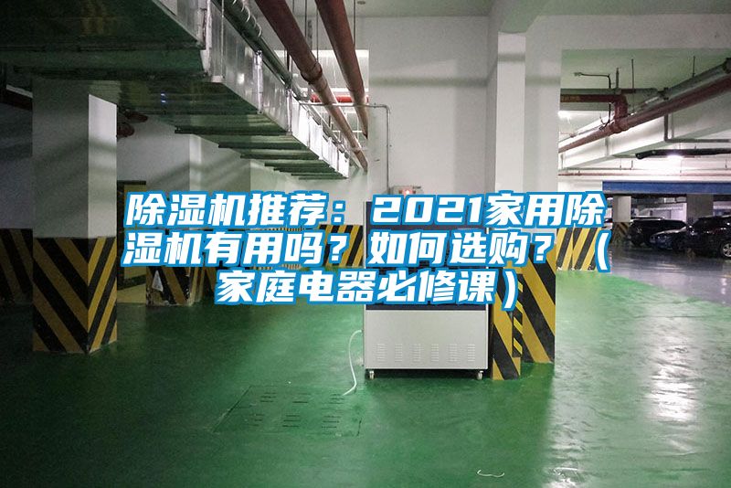 麻豆视频黄网站推荐：2021家用麻豆视频黄网站有用吗？如何选购？（家庭电器必修课）