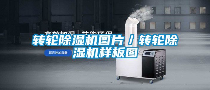 转轮麻豆视频黄网站图片／转轮麻豆视频黄网站样板图