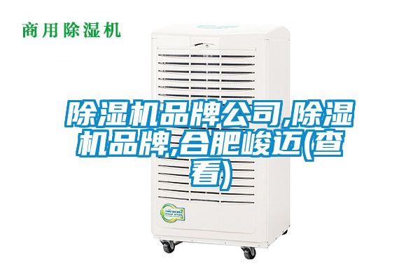 麻豆视频黄网站品牌公司,麻豆视频黄网站品牌,合肥峻迈(查看)
