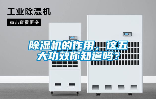 麻豆视频黄网站的作用，这五大功效你知道吗？