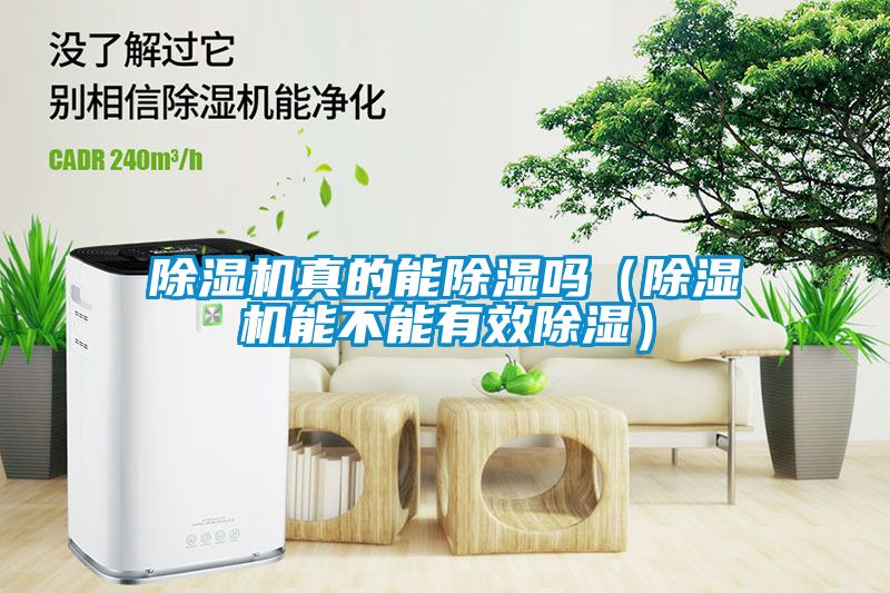 麻豆视频黄网站真的能除湿吗（麻豆视频黄网站能不能有效除湿）