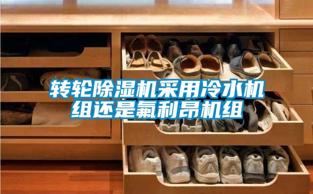 转轮麻豆视频黄网站采用冷水机组还是氟利昂机组