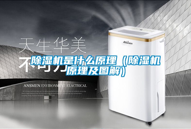 麻豆视频黄网站是什么原理（麻豆视频黄网站原理及图解）